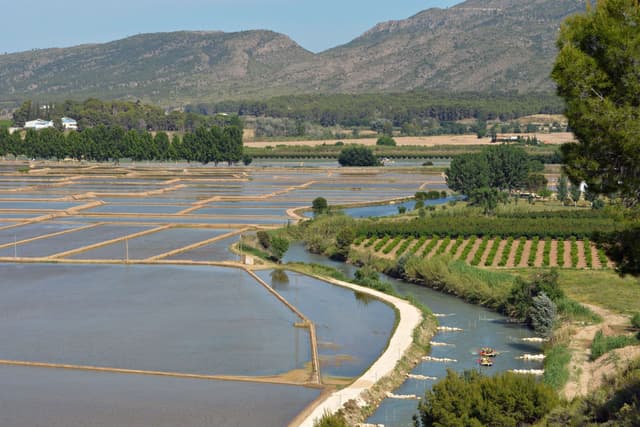 Rafting Arrozales de Calasparra